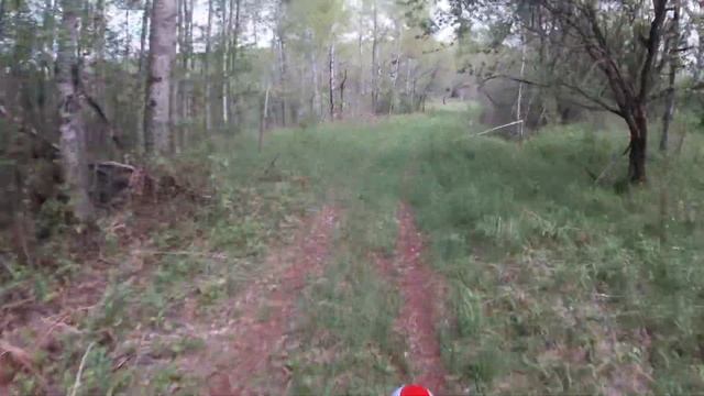 Apollo RXF 150 MAX FREERIDE - First Ride - Cruising the trails смотреть онлайн