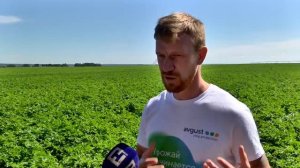 Картофелеводство, как бизнес. Проблемы отрасли и их решение.