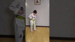 удар долё-чаги (WTF)тхэквондо