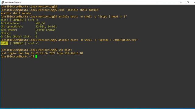Difference Between Ansible raw, shell and command modules (#ansible #interview #questions) смотреть онлайн