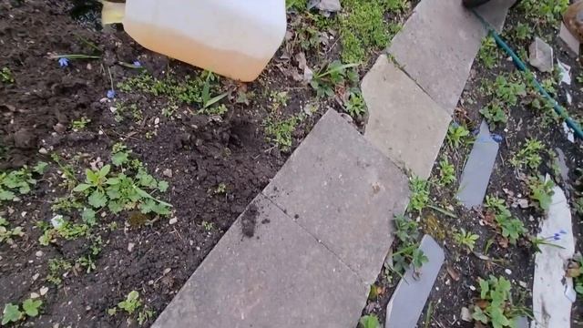 4255 Дождевые черви дома и на даче смотреть онлайн