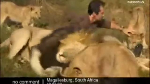 Kevin Richardson смотреть онлайн