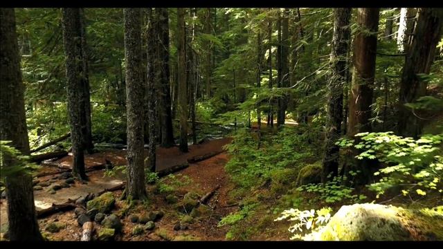 Drone Shots and Classical Music Art Nature Sound смотреть онлайн