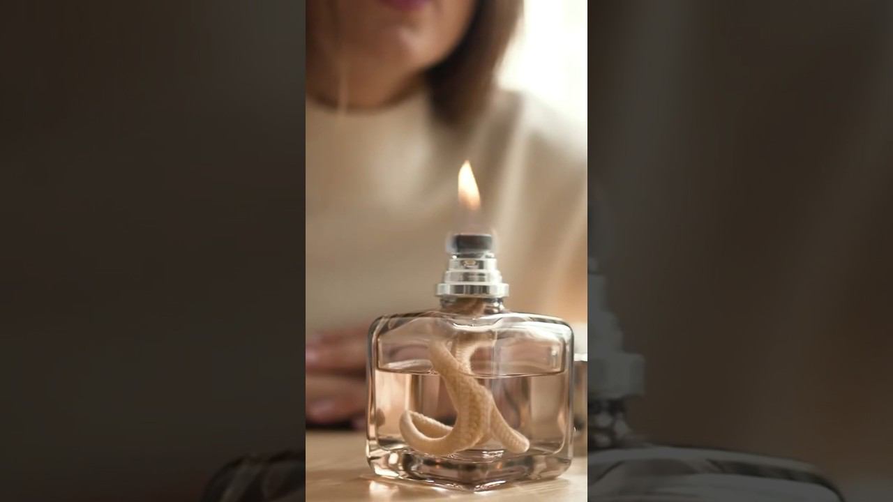 Maison Berger – французский бренд интерьерных ароматов премиум-класса. #villeroyboch #посуда #отдых смотреть онлайн