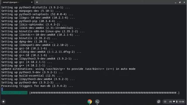 Install FastAPI on Chromebook Linux смотреть онлайн