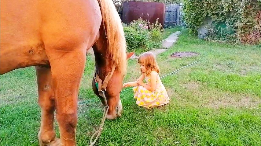 Хороший летний денёк. смотреть онлайн