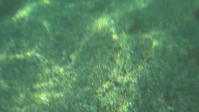 мир под водой. море. звуки волны. #море #пляж #звукиприроды #волны #звукиморя #travel смотреть онлайн