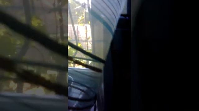 громкоговоритель гр-1 смотреть онлайн