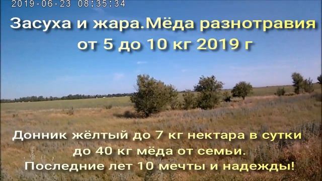 Натуральный мёд Юга России,Северного Кавказа.Кормовая база пчел. смотреть онлайн