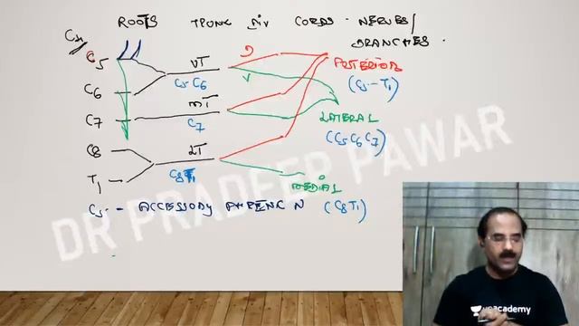 Anatomy Ultra Rapid Revision Part 2 | FMGE | Dr. Pradeep Pawar смотреть онлайн