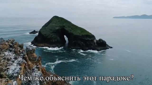 В браке мужчины пьют меньше, а женщины больше — Статья смотреть онлайн