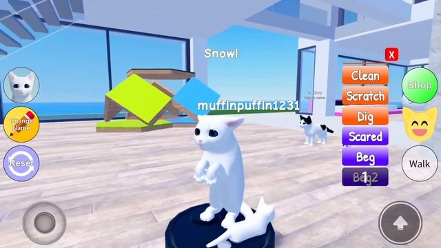 Riding Dolphin’s + Checking out new updates! ????(Roblox Kitten game!) смотреть онлайн