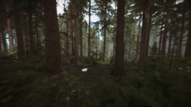 A Walk in the Forest || Enjoy the Beautiful Nature and Birdsong смотреть онлайн