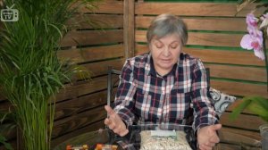 Люпин ✅ Самые полезные сидераты ✅ Мнение эксперта HitsadTV