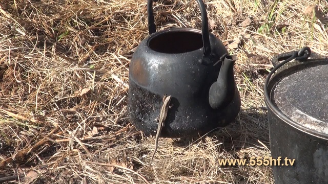 Весенняя вылазка в тайгу. Часть 2. смотреть онлайн