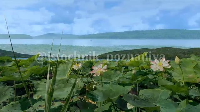 Этот самый мир - Рай. | ОШО смотреть онлайн