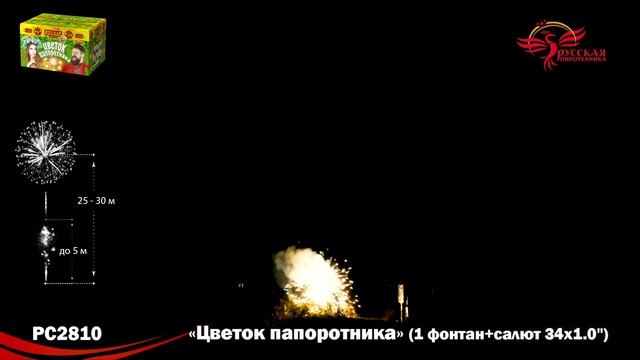 Фейерверк + фонтан РС2810 "Цветок папоротника" (1" х 34 залпов) смотреть онлайн
