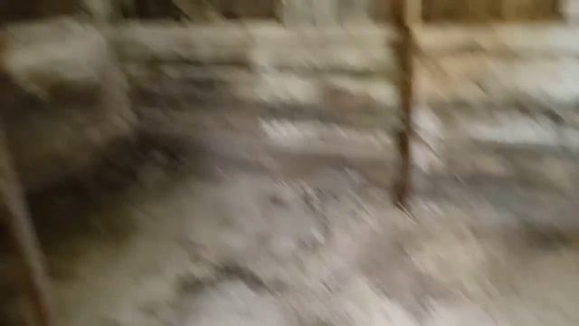 Хранилище для БМВК свиней? Для чего модернизация сарая смотреть онлайн