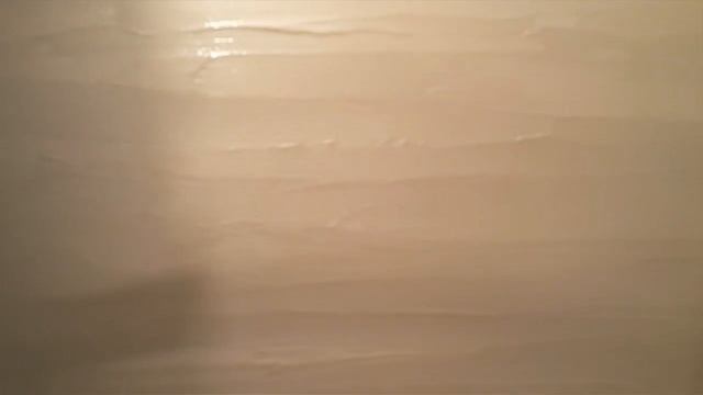 ДЕКОРОТИВНОЕ ПОКРЫТИЕ ШЁЛК, ОДИН ИЗ ВИДОВ смотреть онлайн