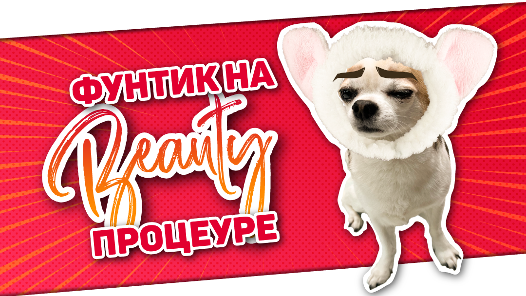 Собака на бьюти-процедурах. Все как у людей смотреть онлайн