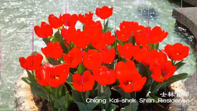 La Source Op.23 - Albert Zabel (performed by Cindy Chen) смотреть онлайн