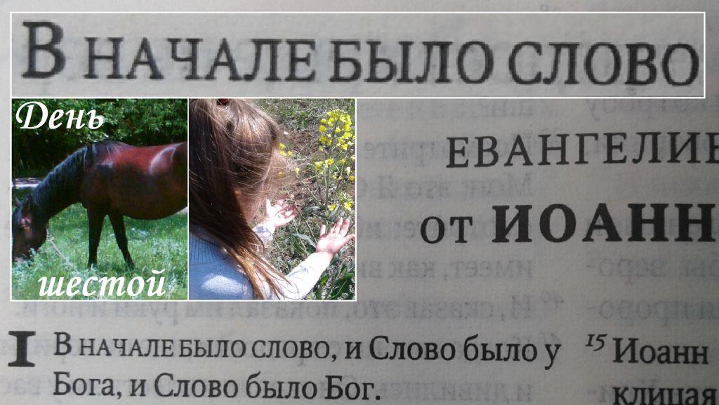 ДЕНЬ ШЕСТОЙ