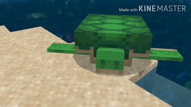 Морская черепашка по имени Наташка - клип