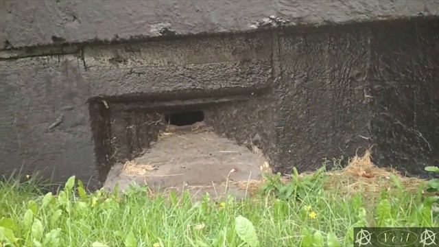 Вехи 12 Ижорский рубеж обороны Кировский завод Ленинский проспект Часть 3 смотреть онлайн