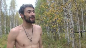 Охота на медведя на овсах.  Раненый медведь.