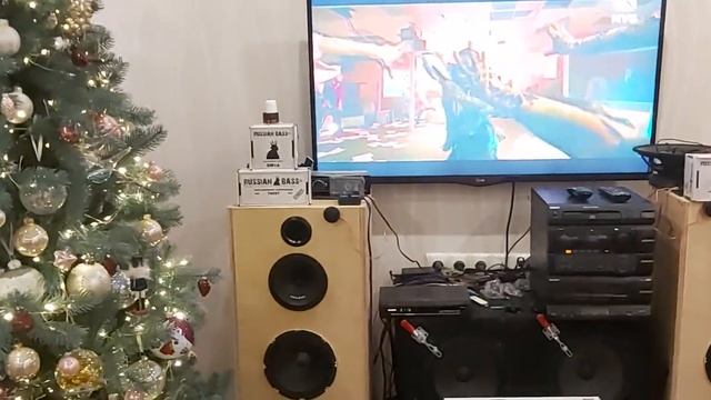 Новинка от компании RussianBass SONATA 165