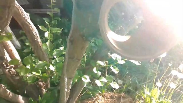 Сфера Сергеевна. Мой опыт Пробуждения 05.07.2020 смотреть онлайн