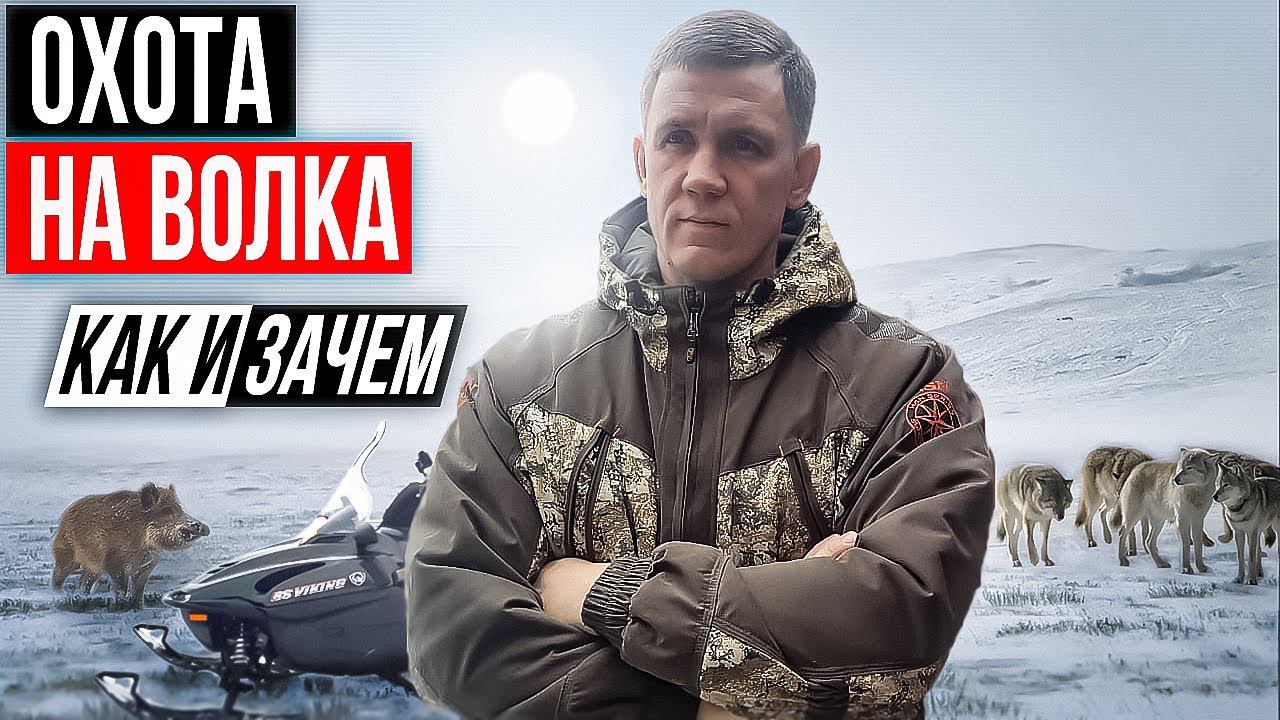 охота на волка.КАК И ЗАЧЕМ я охочусь на волков.wolfsjagd.hunting for wolves. смотреть онлайн