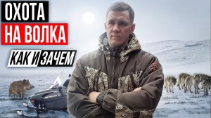 охота на волка.КАК И ЗАЧЕМ я охочусь на волков.wolfsjagd.hunting for wolves.