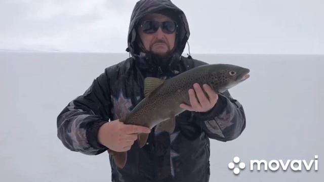 Телецкое озеро или ускучи Алтын коля! Fishing in the wilds of Altai смотреть онлайн