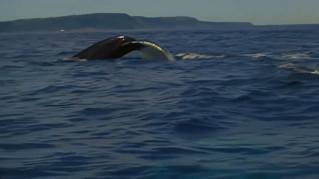 02 Урок 1 Кому принадлежит Земля и что наполняет её смотреть онлайн