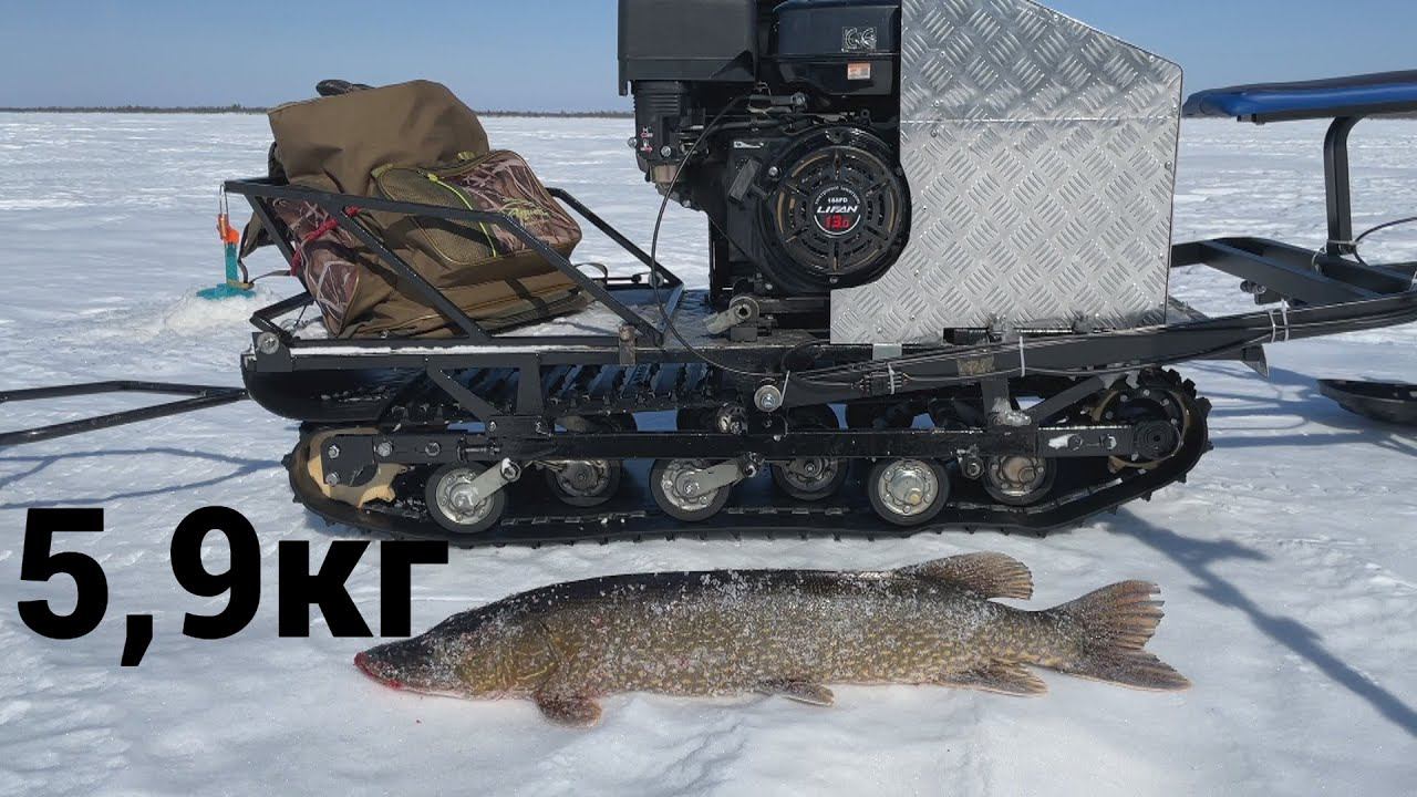 Трофейная Щука/ зимняя рыбалка в ХМАО 09.04.2022 смотреть онлайн