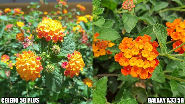 Boost Mobile Celero 5G Plus vs Samsung Galaxy A33 5G смотреть онлайн