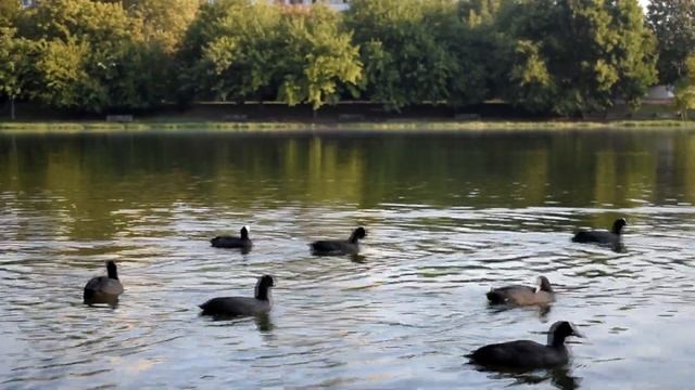 Моё любимое место в Краснодаре: как я живу после переезда. Прогулка Дмитриевская дамба