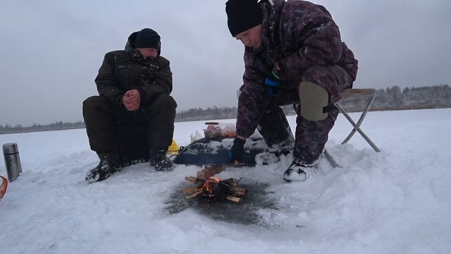 В ЭТОМ БОЛОТЕ ЩУКИ МНОГО!!! Дикие места. Рыбалка на жерлицы. смотреть онлайн