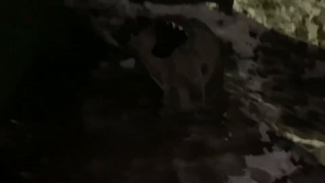 Что делать если не сдал ЕГЭ смотреть онлайн