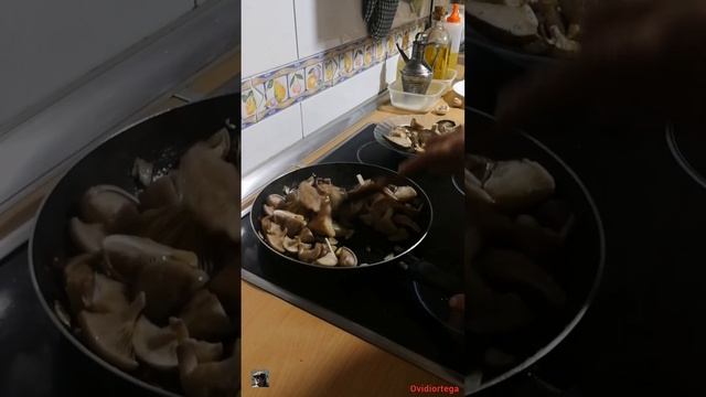 Setas de cardo y pie azul (#personata), al ajillo #setas comestibles смотреть онлайн