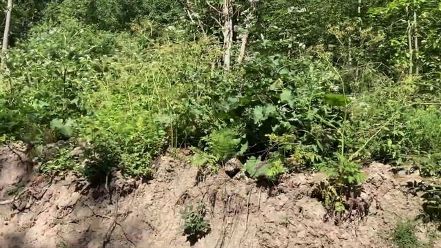 Рыбалка. Новоладожский канал. Рухнувший маяк. смотреть онлайн