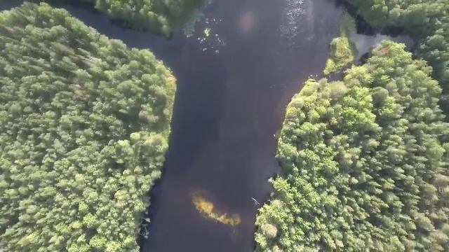 Река Кереть. смотреть онлайн