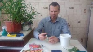 Как приготовить природный стимулятор роста для растений в домашних условиях своими руками
