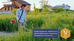 Слизнеед НЕО от слизней и улиток. Инструкция и особенности применения.