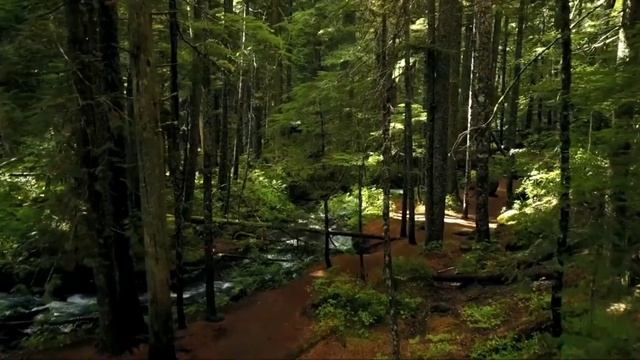 Гарри Поттер и Философский камень. смотреть онлайн