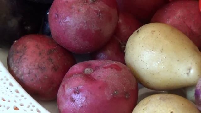 Молоденький...Цветной картофель. смотреть онлайн