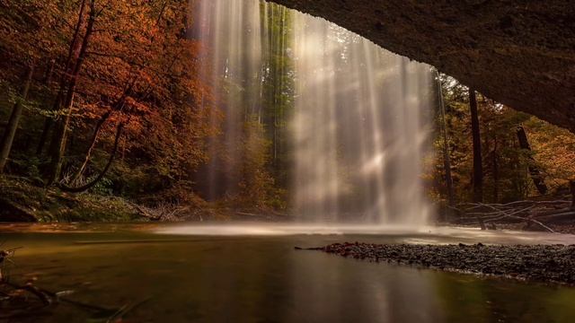 Звуки природы, Болото, лес, для медитации и сна смотреть онлайн