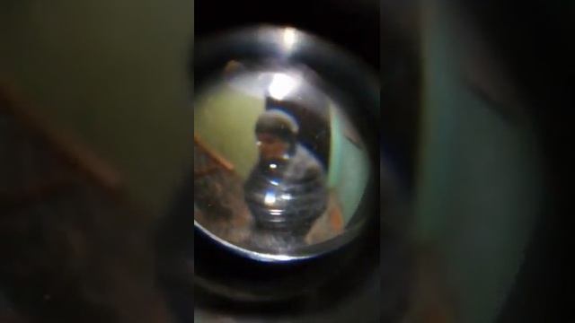 Не открывайте двери незнакомым теткам, они бывают агрессивны. Ненормальная женщина смотреть онлайн