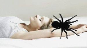 Тушда Ургимчак курса | Tushda O'rgimchak ko'rsa